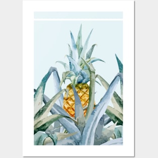 tropical fruit Posters and Art